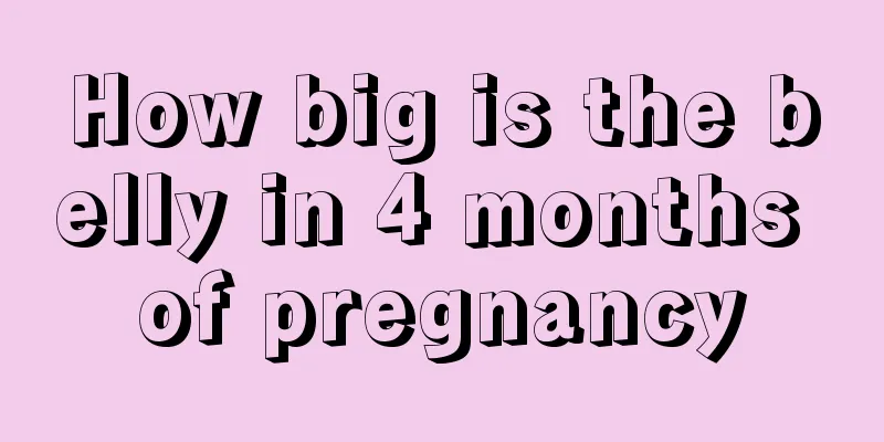 How big is the belly in 4 months of pregnancy