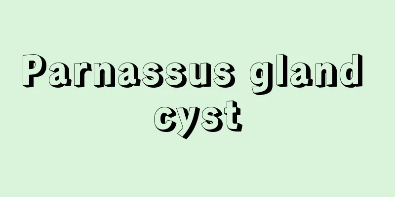 Parnassus gland cyst