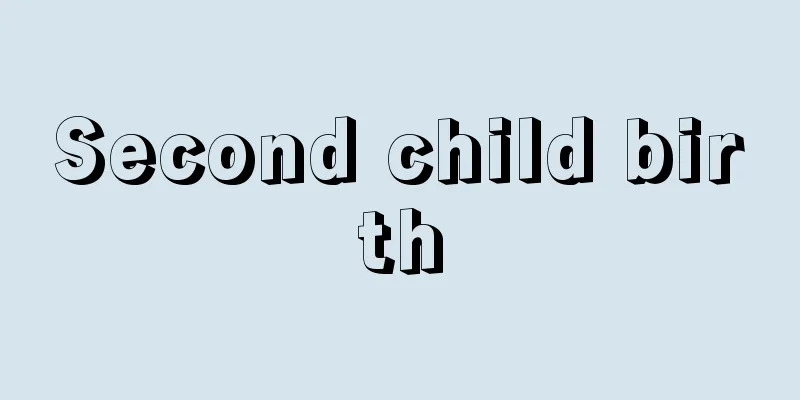 Second child birth