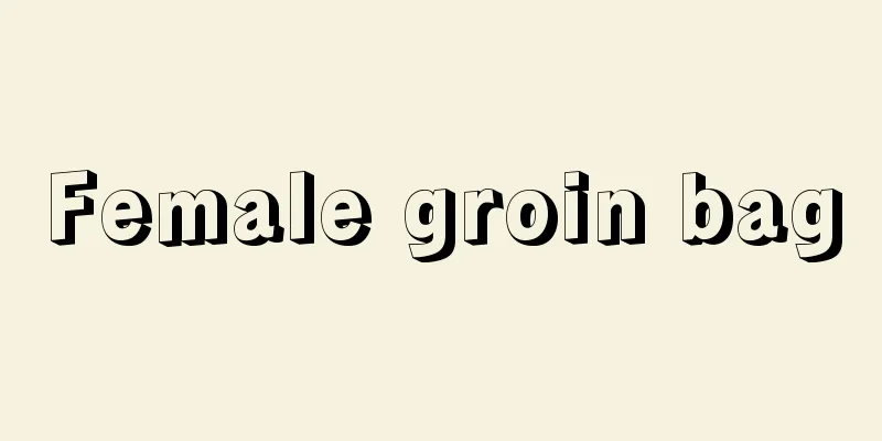 Female groin bag