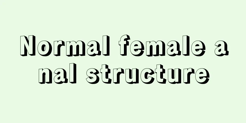 Normal female anal structure