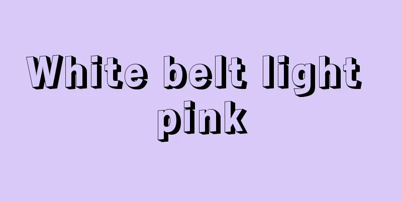 White belt light pink