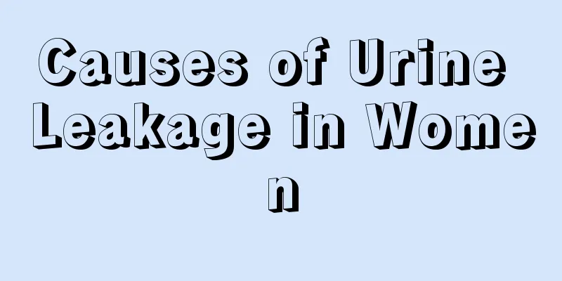 Causes of Urine Leakage in Women