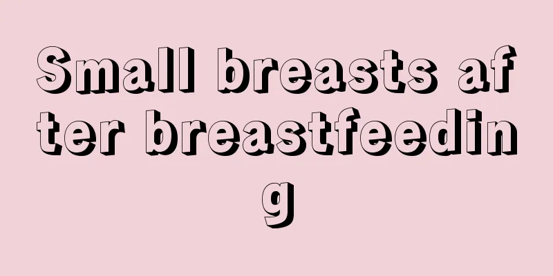 Small breasts after breastfeeding