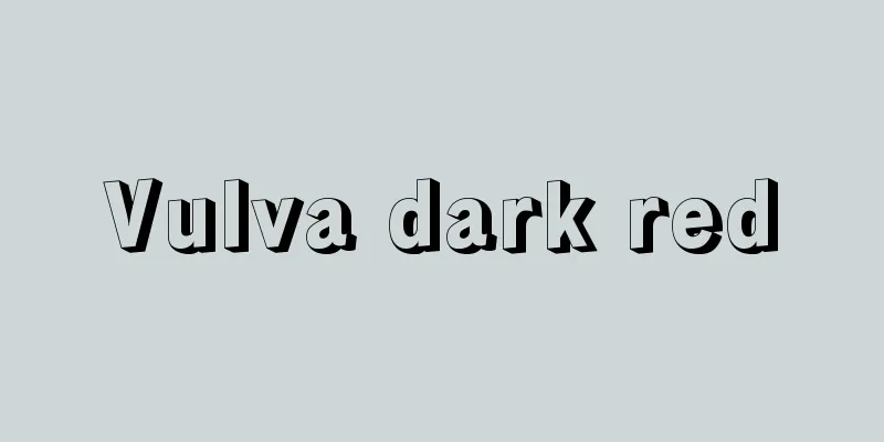 Vulva dark red