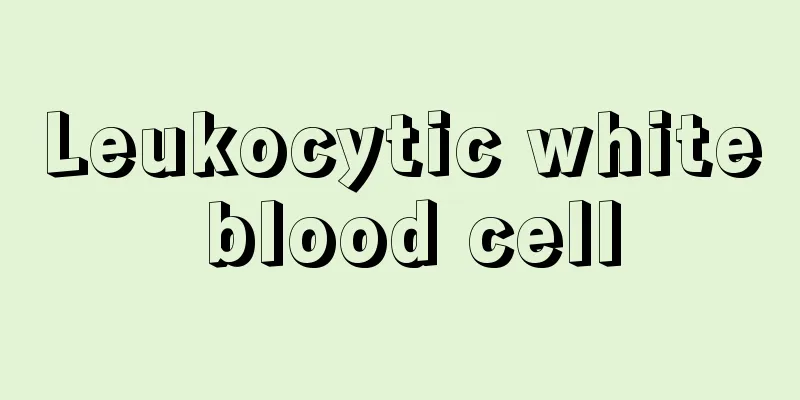 Leukocytic white blood cell