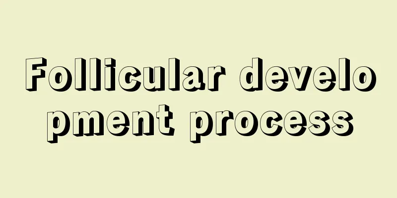 Follicular development process