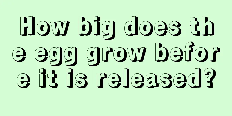 How big does the egg grow before it is released?