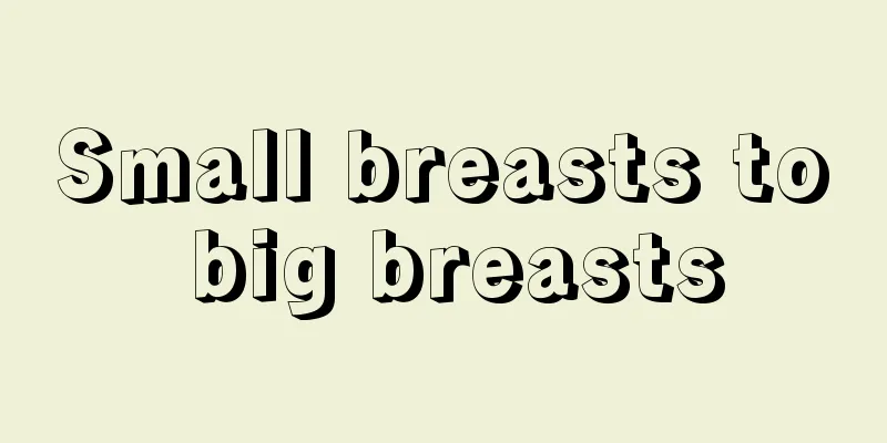 Small breasts to big breasts