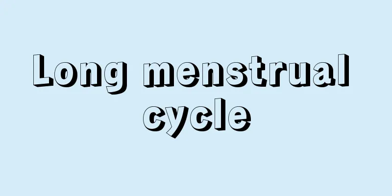 Long menstrual cycle