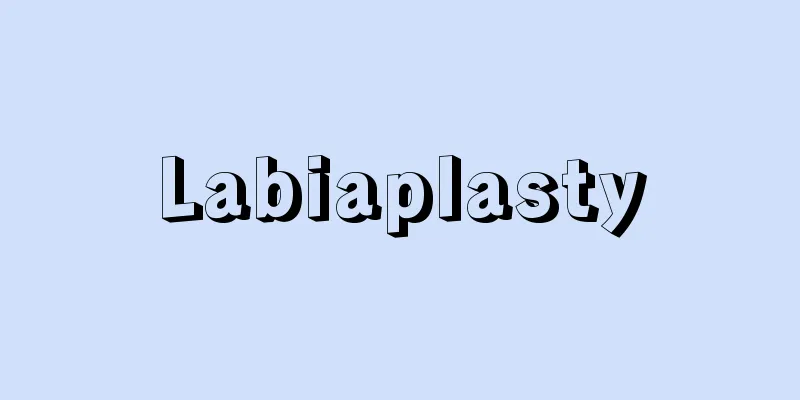 Labiaplasty