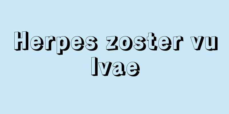 Herpes zoster vulvae