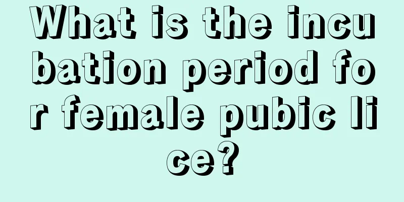 What is the incubation period for female pubic lice?