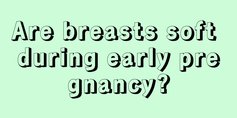 Are breasts soft during early pregnancy?