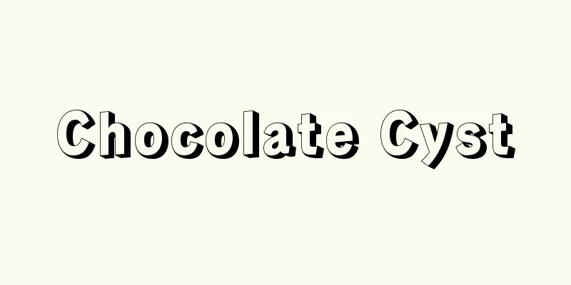 Chocolate Cyst