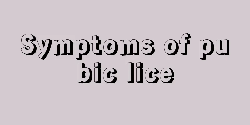 Symptoms of pubic lice