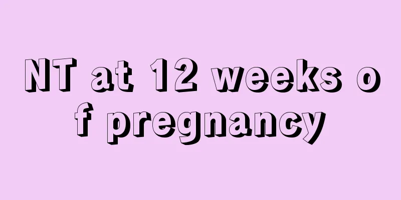 NT at 12 weeks of pregnancy