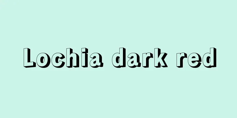 Lochia dark red