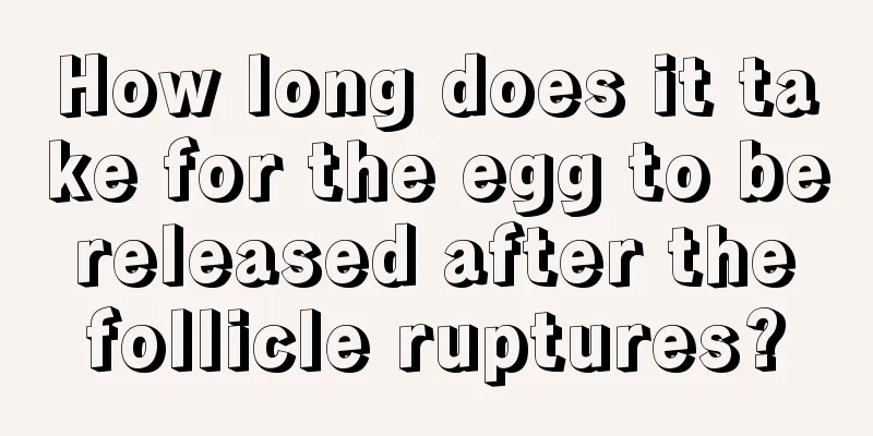 How long does it take for the egg to be released after the follicle ruptures?