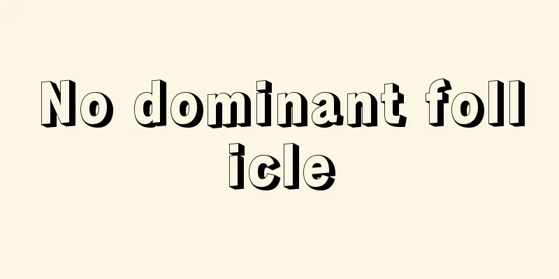 No dominant follicle