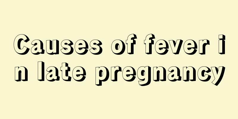 Causes of fever in late pregnancy