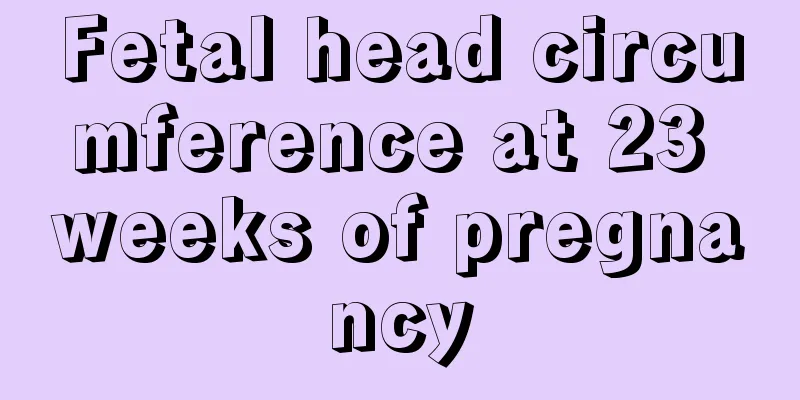 Fetal head circumference at 23 weeks of pregnancy