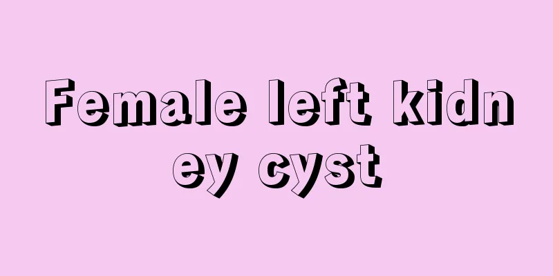 Female left kidney cyst