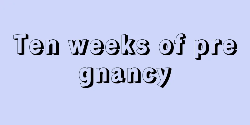 Ten weeks of pregnancy