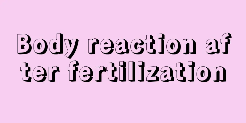 Body reaction after fertilization