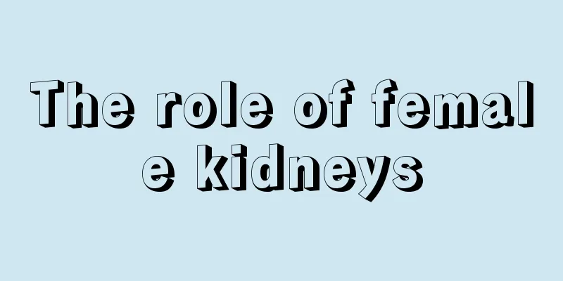 The role of female kidneys