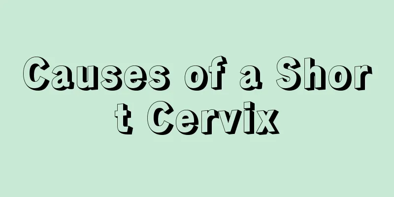 Causes of a Short Cervix