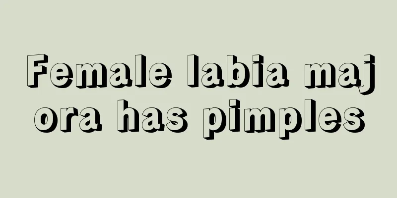 Female labia majora has pimples