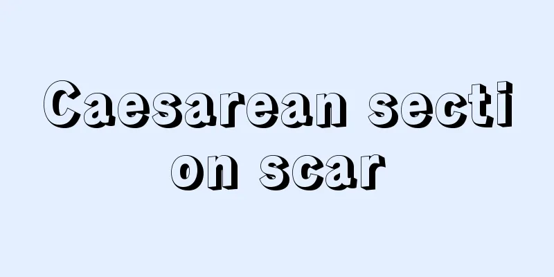 Caesarean section scar