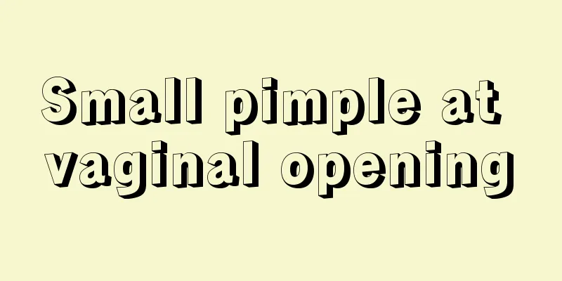 Small pimple at vaginal opening