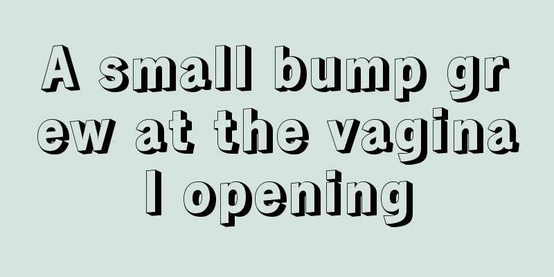 A small bump grew at the vaginal opening