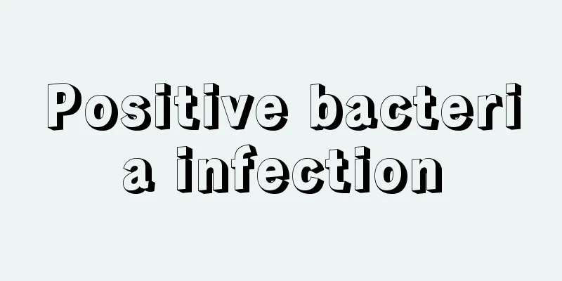 Positive bacteria infection