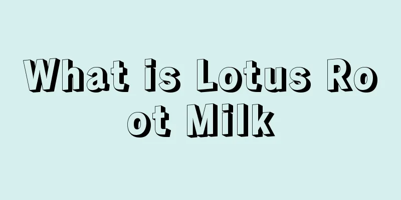 What is Lotus Root Milk