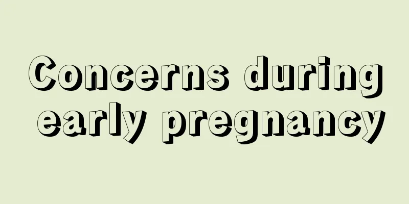 Concerns during early pregnancy