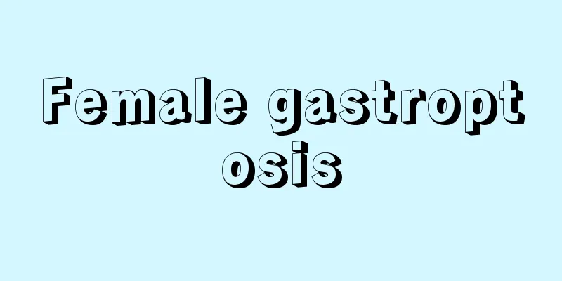 Female gastroptosis