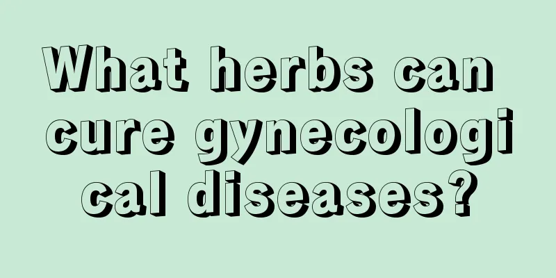 What herbs can cure gynecological diseases?