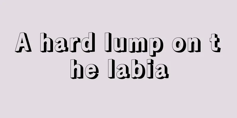 A hard lump on the labia