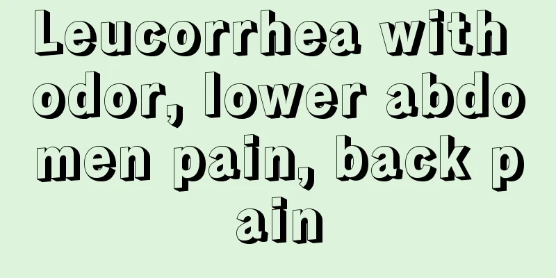 Leucorrhea with odor, lower abdomen pain, back pain