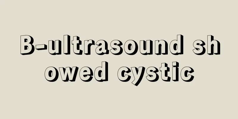 B-ultrasound showed cystic