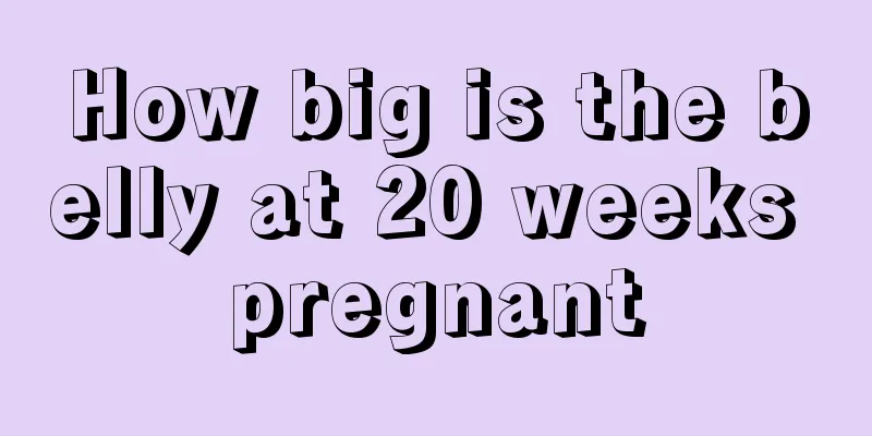 How big is the belly at 20 weeks pregnant