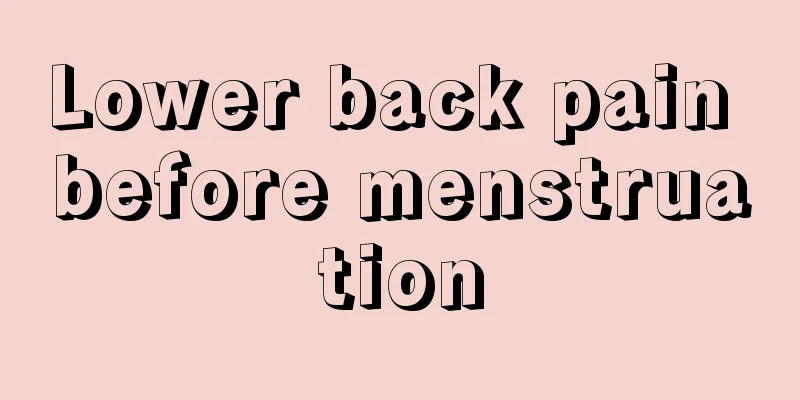 Lower back pain before menstruation