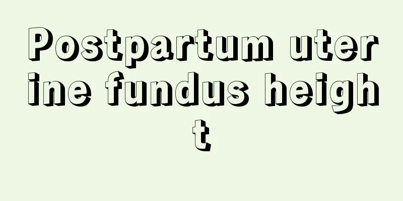 Postpartum uterine fundus height