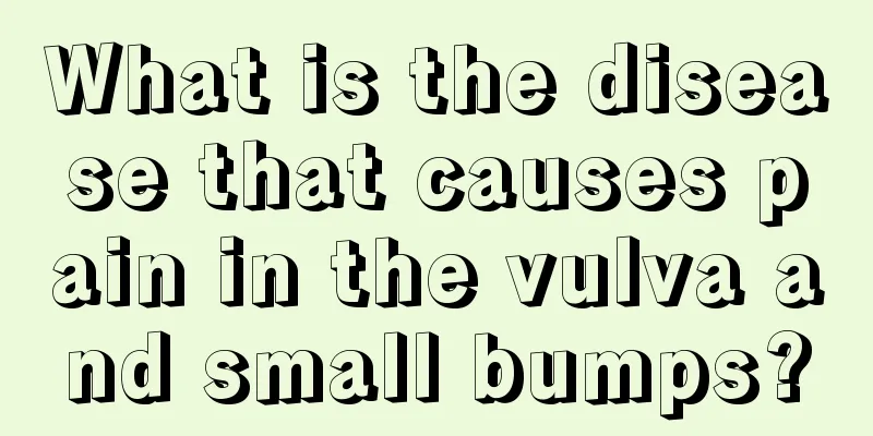 What is the disease that causes pain in the vulva and small bumps?