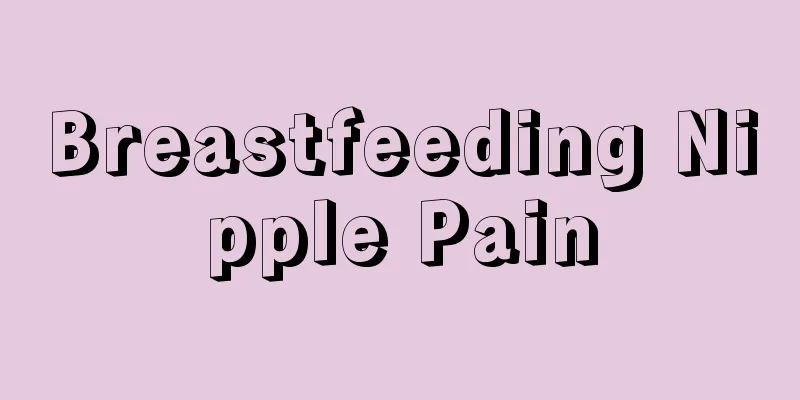 Breastfeeding Nipple Pain