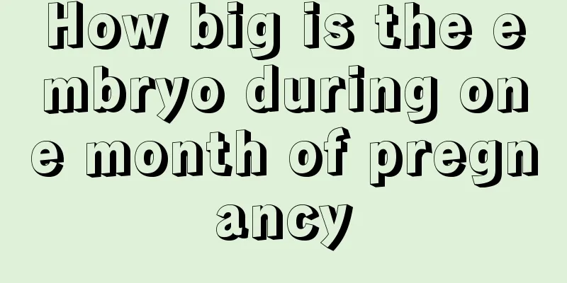 How big is the embryo during one month of pregnancy