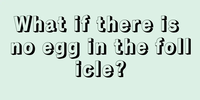 What if there is no egg in the follicle?